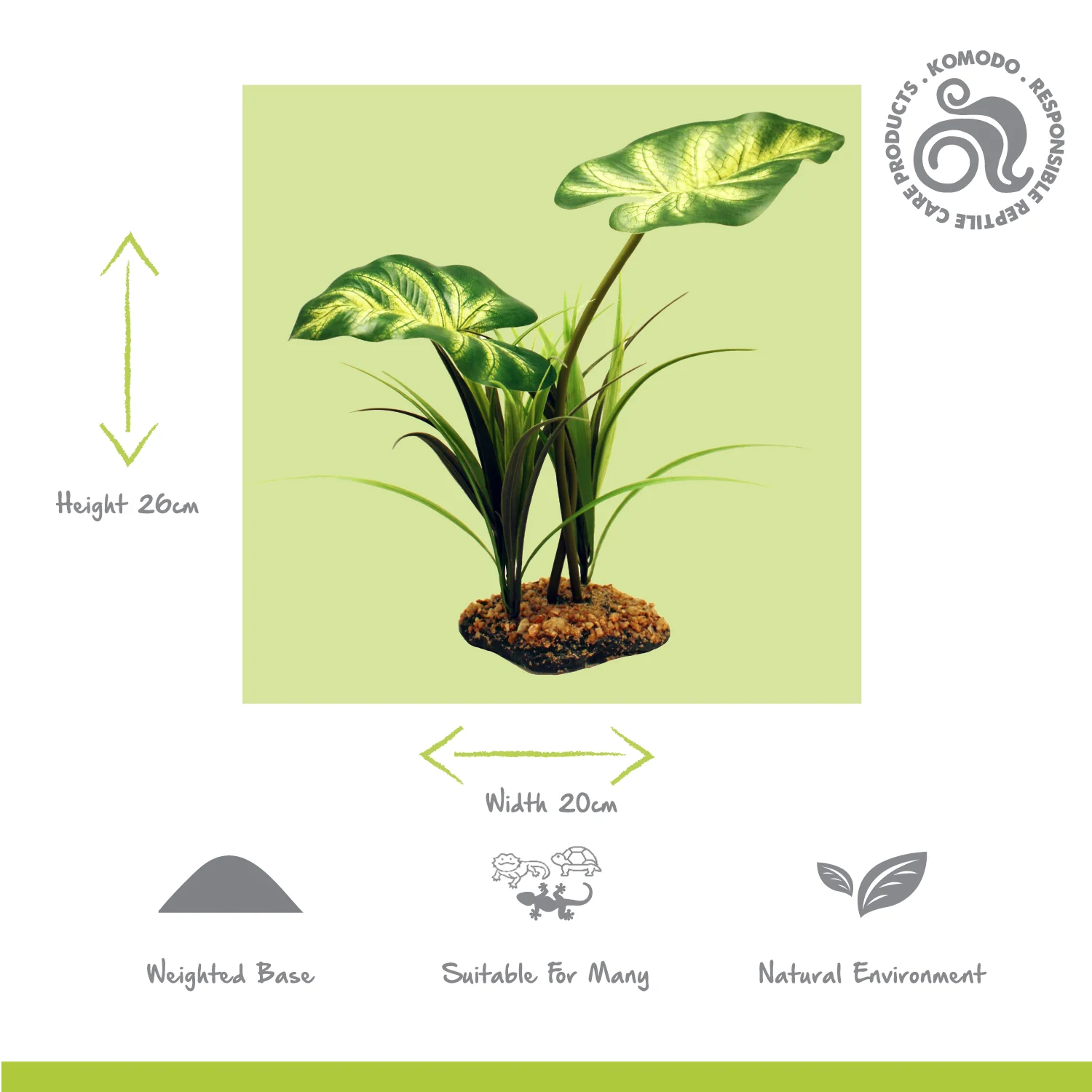 Broadleaf Canopy - Image 2